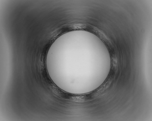 X0000113040422200909171525