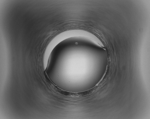 X0000113040423200909171525
