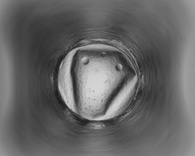 X0000113040424200909171525