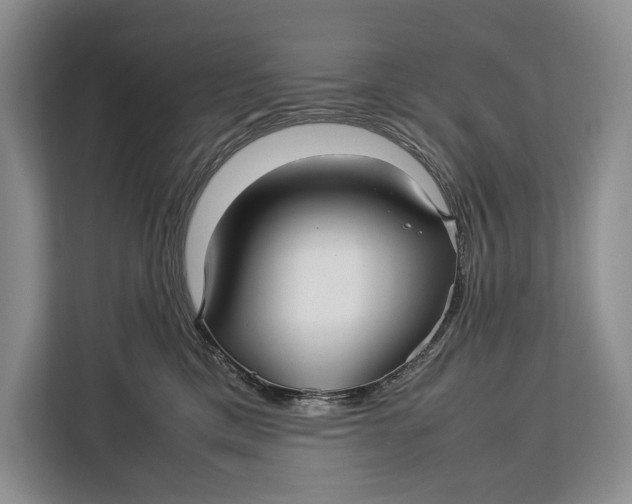 X0000113040425200909171525