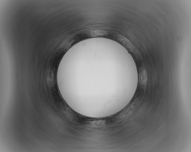 X0000113040426200909171525