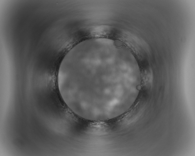X0000113040427200909171525