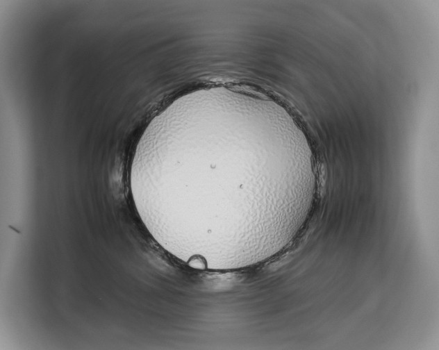 X0000113040428200909171525