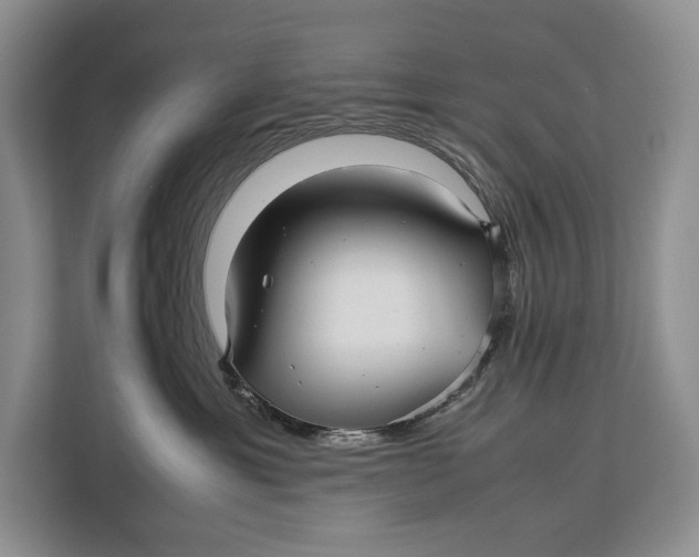 X0000113040429200909171525