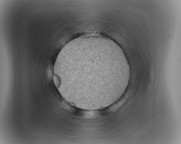 X0000113040432200909171525