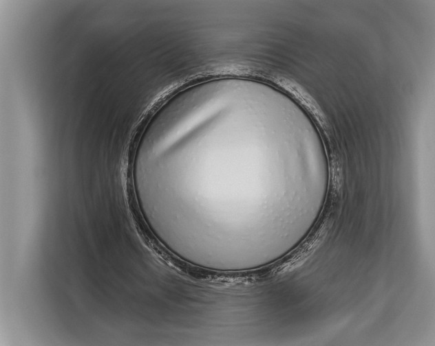 X0000113040434200909171524
