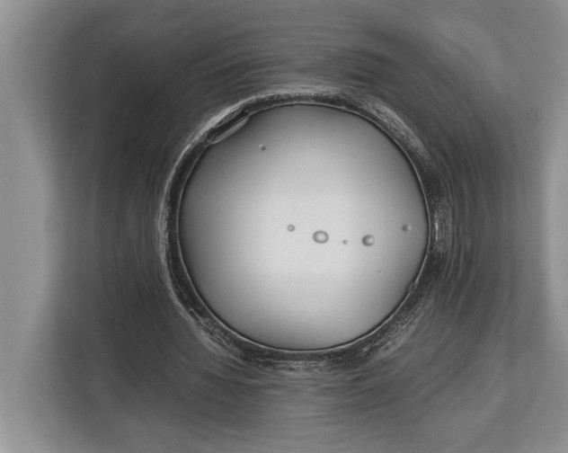 X0000113040436200909171524