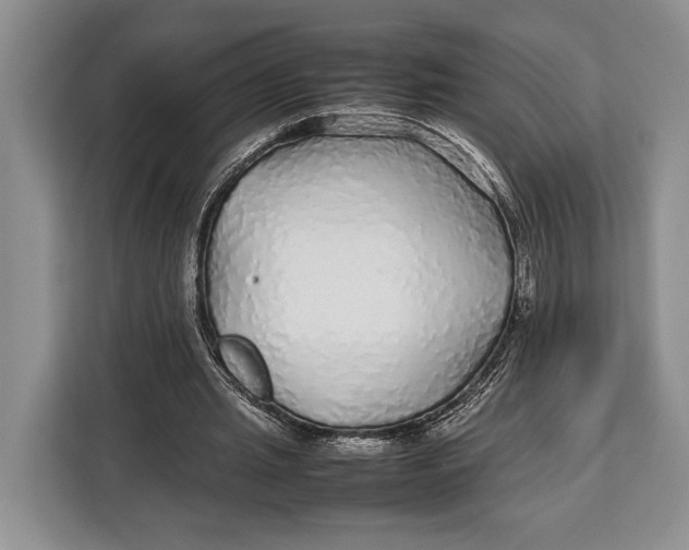 X0000113040437200909171524