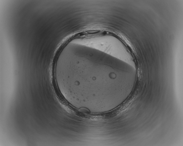 X0000113040438200909171524