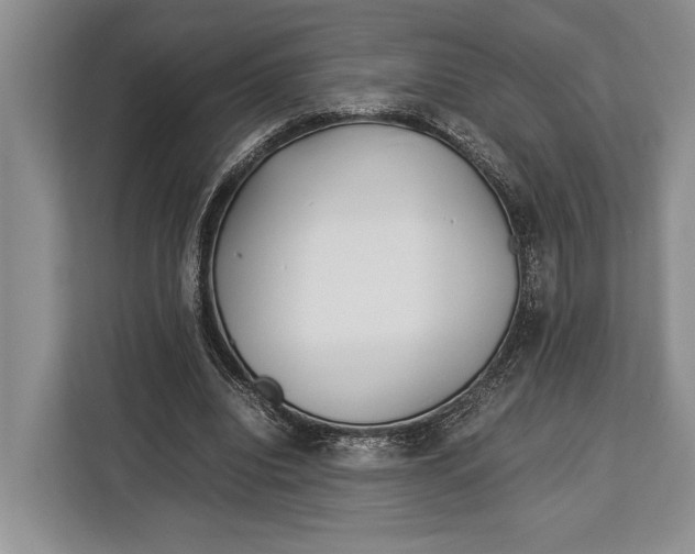 X0000113040440200909171524