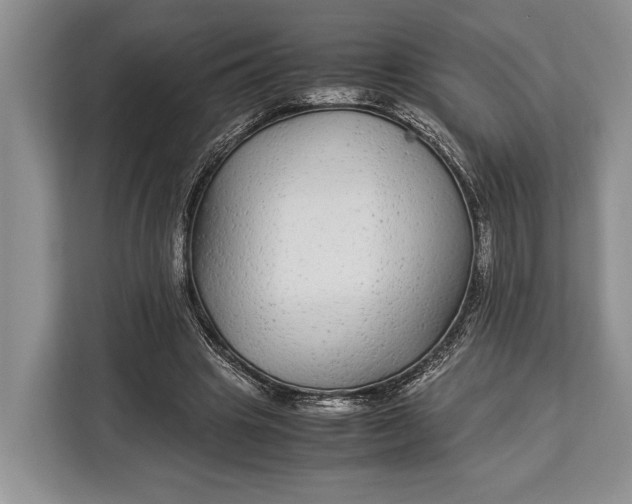 X0000113040441200909171524