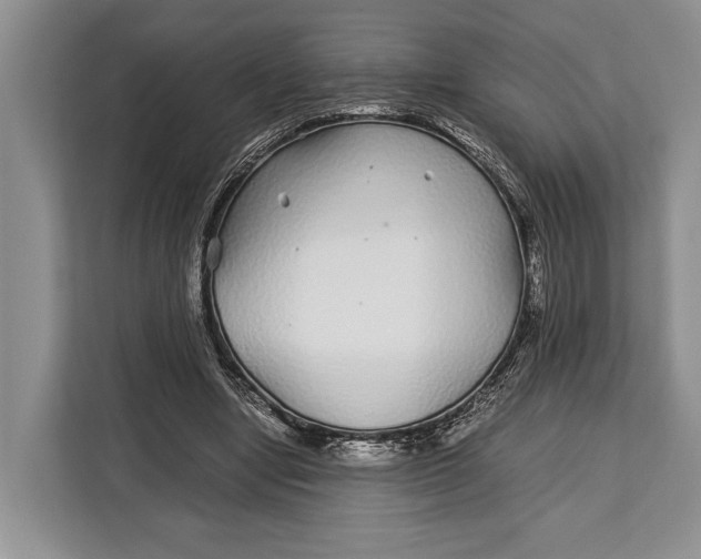 X0000113040442200909171524