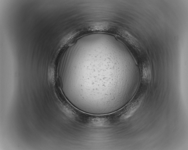 X0000113040444200909171524