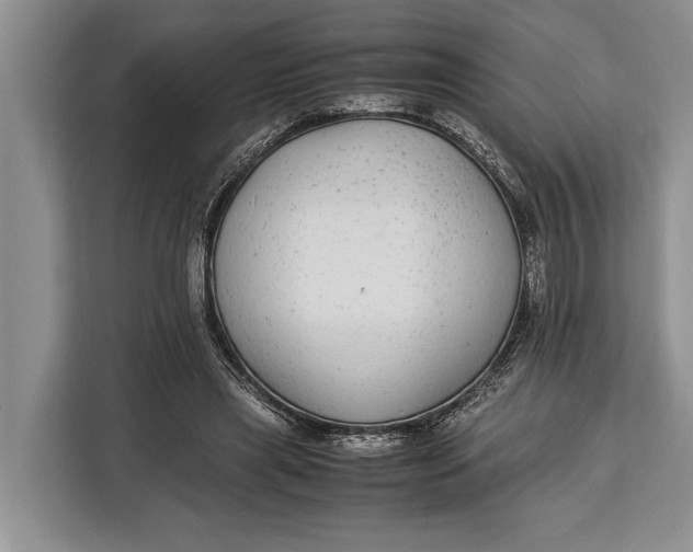 X0000113040445200909171524