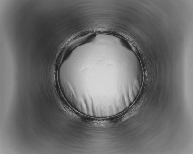 X0000113040446200909171524