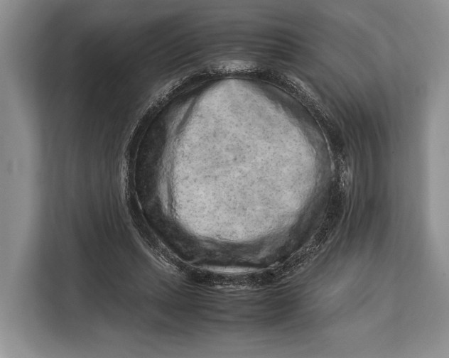 X0000113040447200909171524