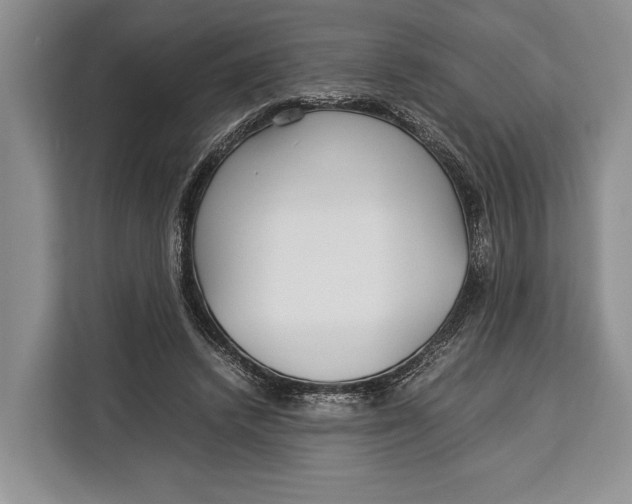 X0000113040448200909171524