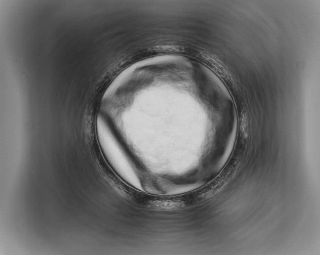 X0000113040449200909171524