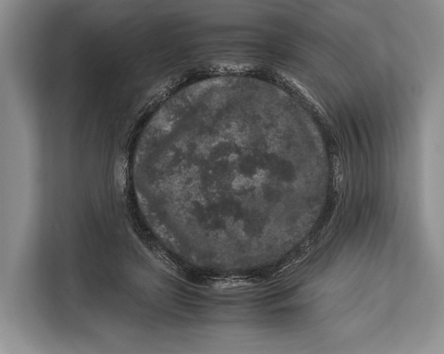 X0000113040451200909171524