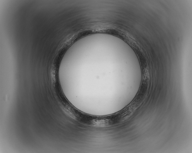 X0000113040452200909171524