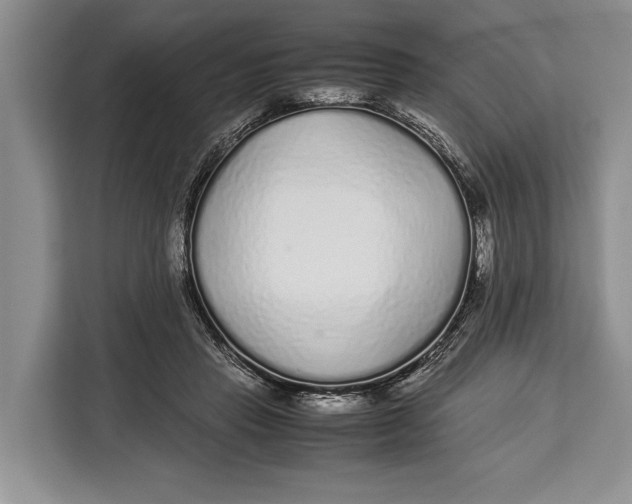 X0000113040453200909171524