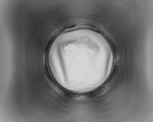 X0000113040454200909171524