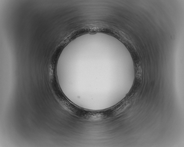 X0000113040456200909171524