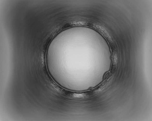 X0000113040457200909171524
