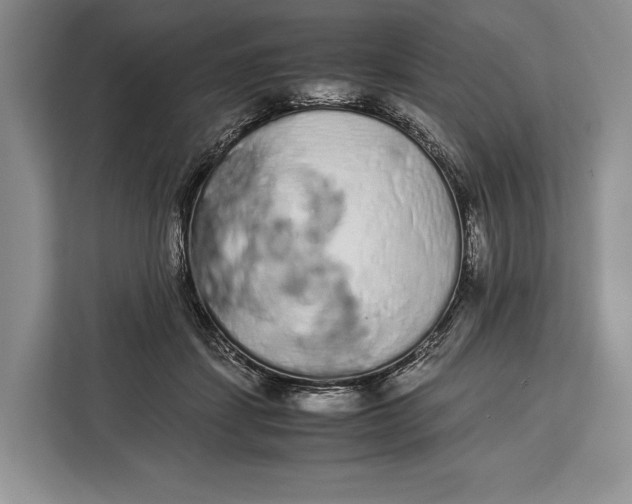 X0000113040459200909171524