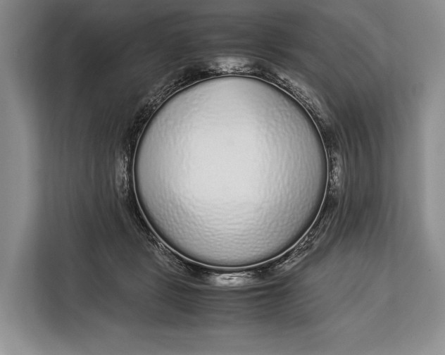 X0000113040461200909171524