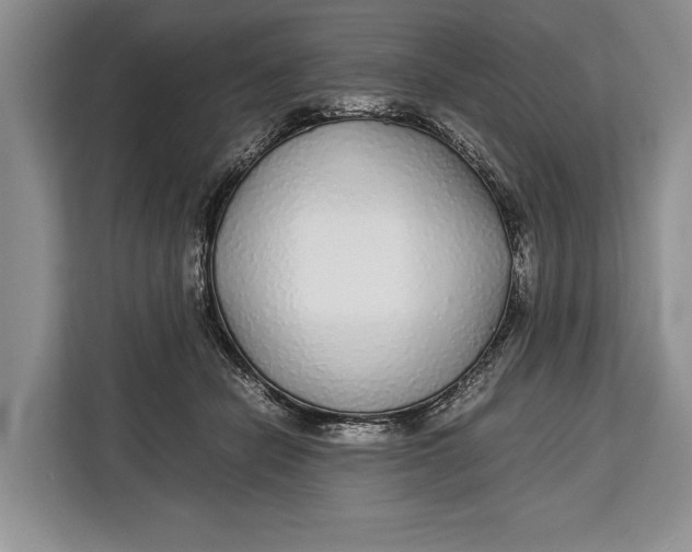X0000113040462200909171524