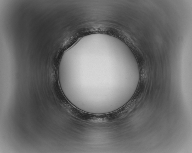 X0000113040464200909171524