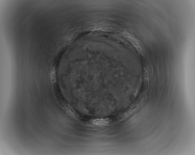 X0000113040465200909171524