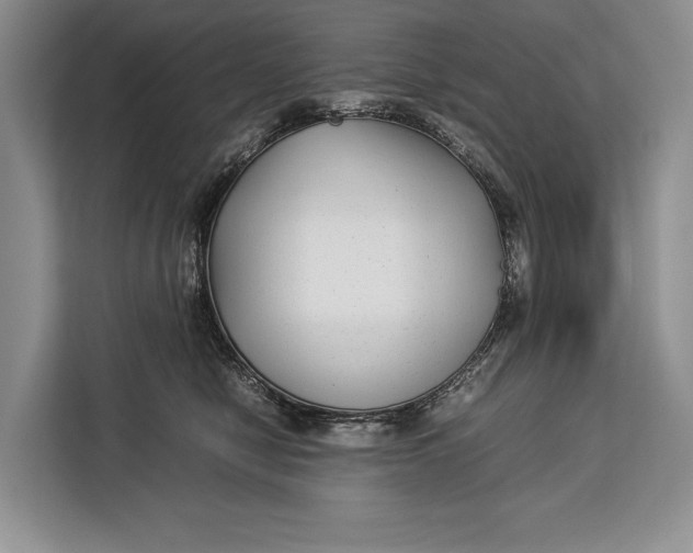 X0000113040470200909171524