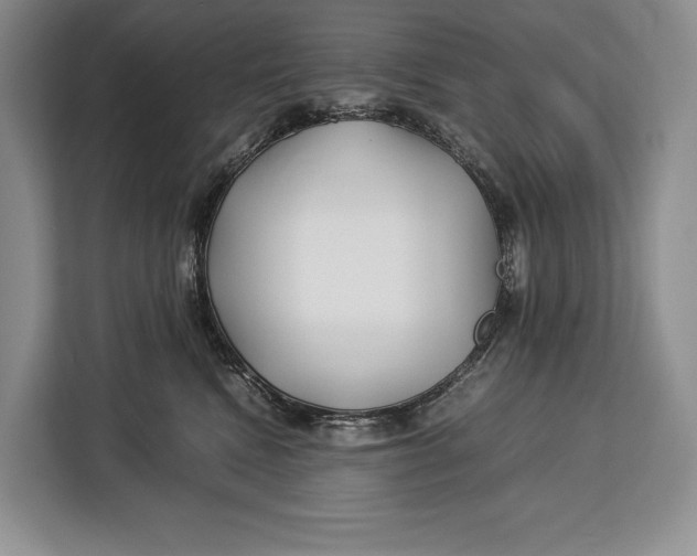 X0000113040472200909171524