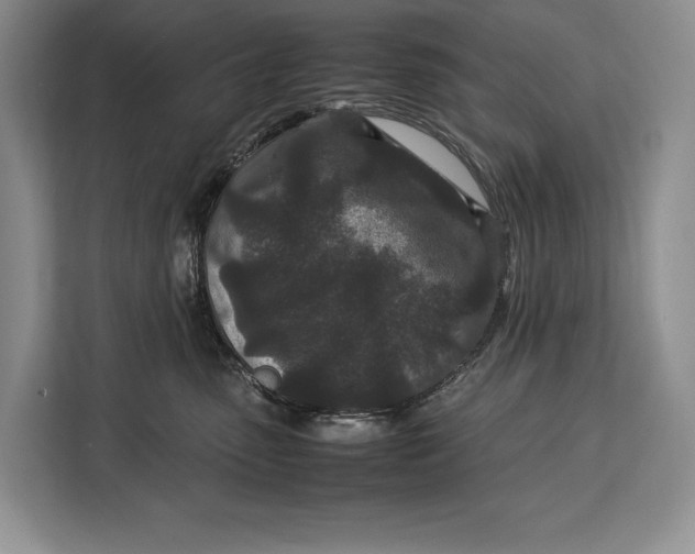 X0000113040475200909171524
