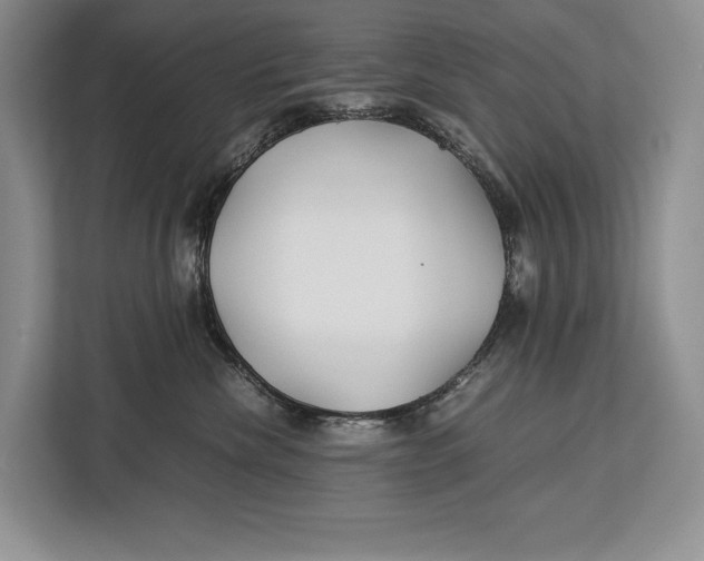 X0000113040476200909171524