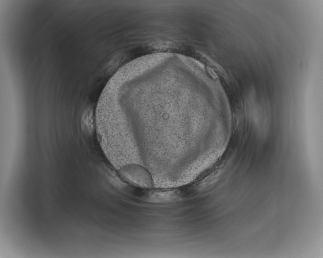 X0000113040479200909171525
