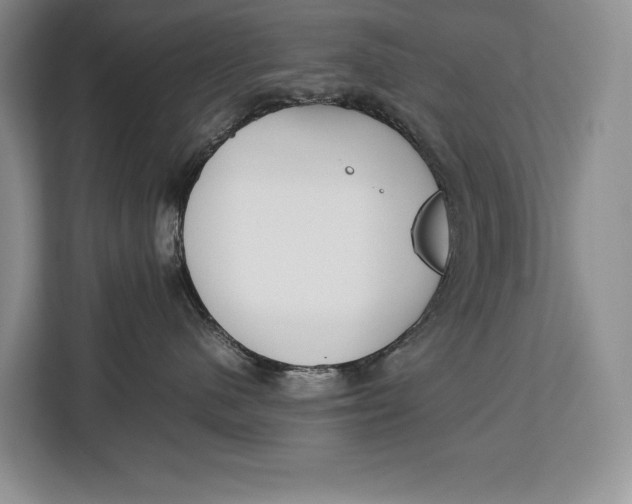 X0000113040480200909171525
