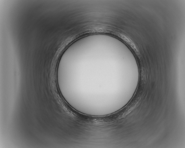 X0000113040481200909171524