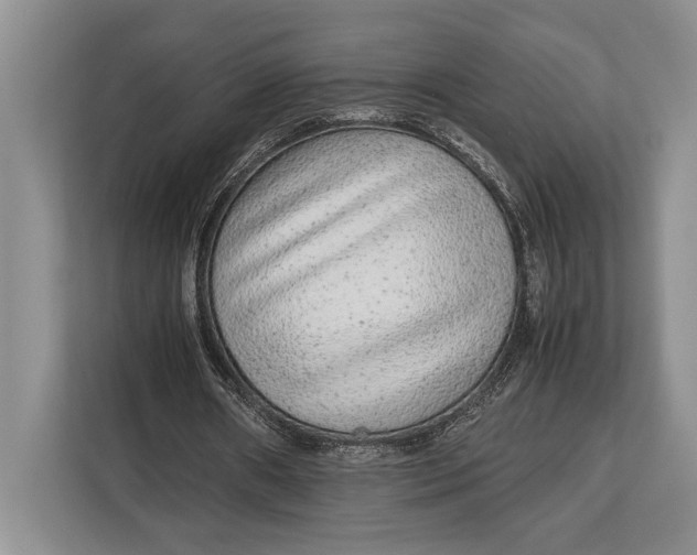 X0000113040482200909171524