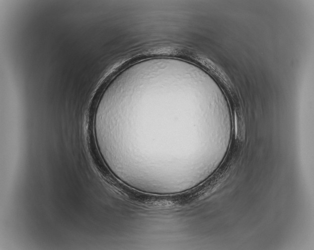 X0000113040483200909171524