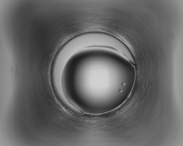 X0000113040485200909171524