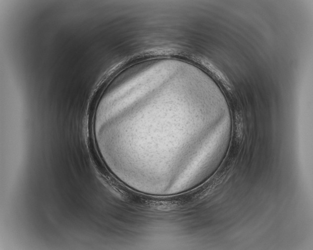 X0000113040486200909171524