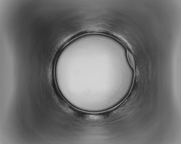 X0000113040487200909171524