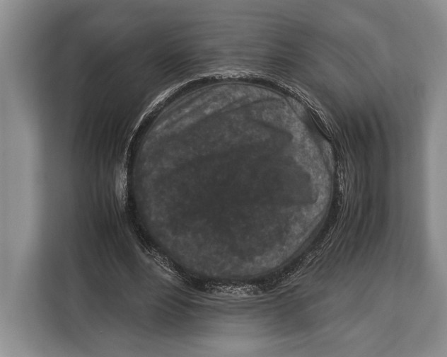X0000113040488200909171524