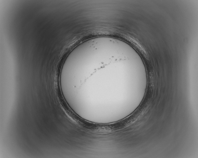 X0000113040489200909171524