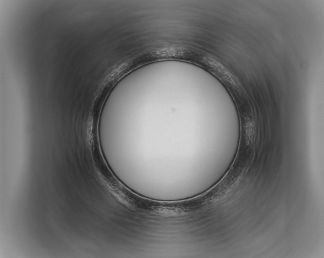 X0000113040490200909171524