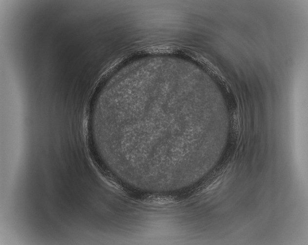 X0000113040491200909171524