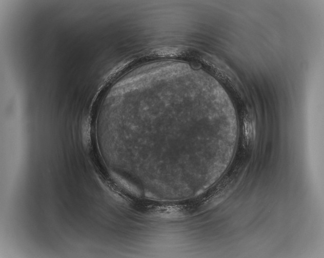 X0000113040492200909171524